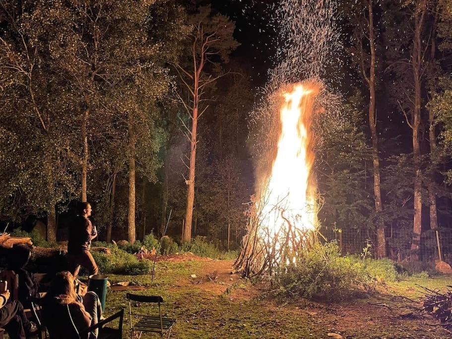 Willa Damwildfarm In Rollerbue Suedschweden Tyringe Zewnętrze zdjęcie