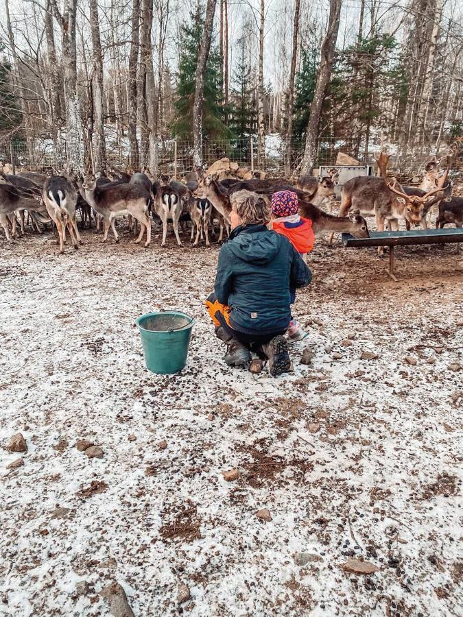 Willa Damwildfarm In Rollerbue Suedschweden Tyringe Zewnętrze zdjęcie