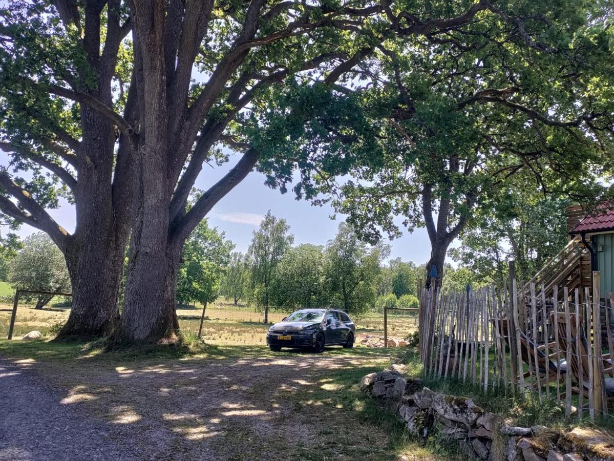 Willa Damwildfarm In Rollerbue Suedschweden Tyringe Zewnętrze zdjęcie