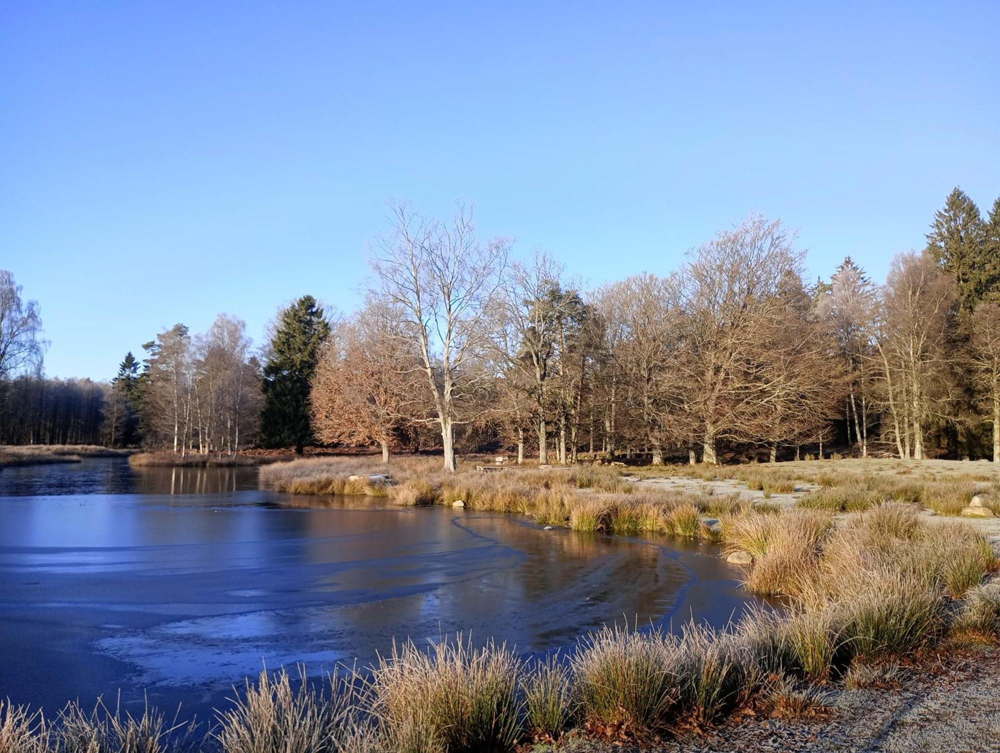 Willa Damwildfarm In Rollerbue Suedschweden Tyringe Zewnętrze zdjęcie
